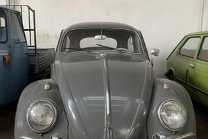 VOLKSWAGEN Maggiolone MAGGIOLONE