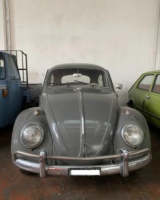 VOLKSWAGEN Maggiolone MAGGIOLONE