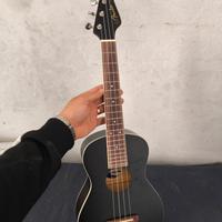 fender