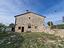 Immagine 7