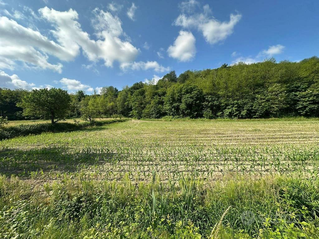 Terreno di 2091 m² a Sirone - Vista 3