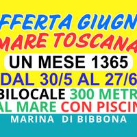 Marina di Bibbona giugno un mese 1365 Bilocale