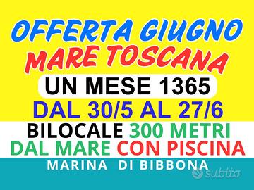 Marina di Bibbona giugno un mese 1365 Bilocale