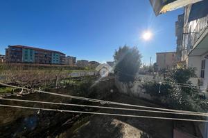 5 LOCALI A ALBISSOLA MARINA