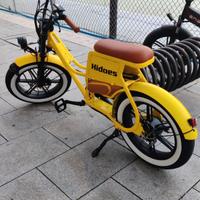 Bicicletta elettrica