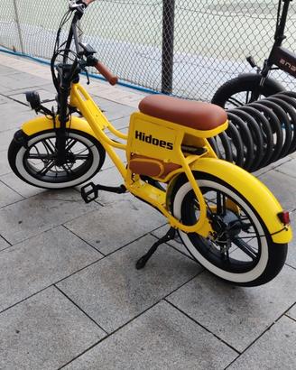 Bicicletta elettrica