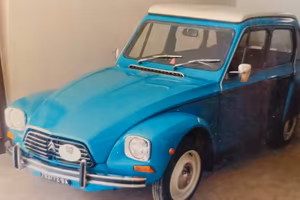 Duane 6 1984 Targa oro ASI