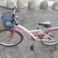 bicicletta ragazza 24
