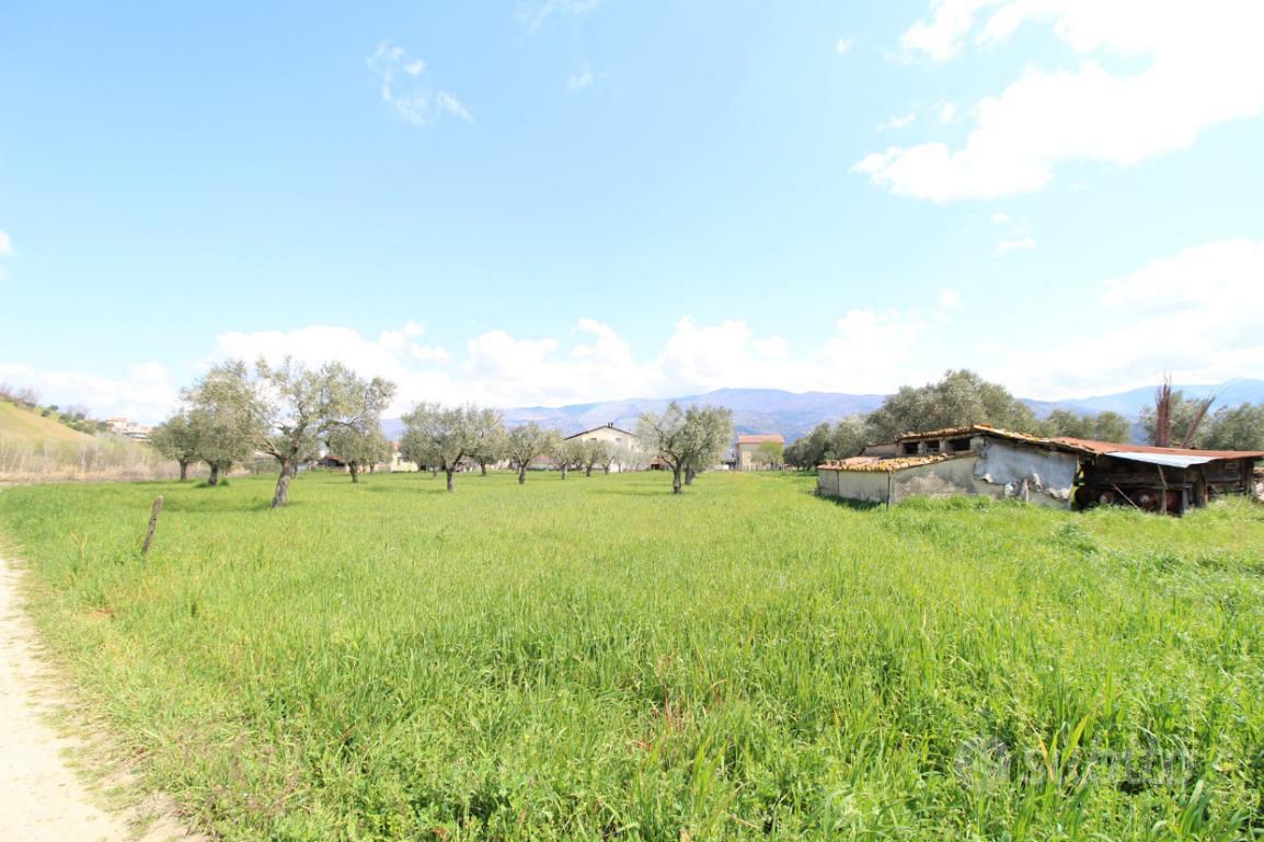 TER. RESIDENZIALE A MONTALTO UFFUGO - Altro