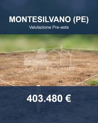 Immobile in asta di 13660 m² a Montesilvano