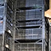 Cassette di plastica