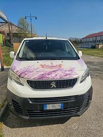 Peugeut Expert coibentato