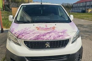 Peugeut Expert coibentato