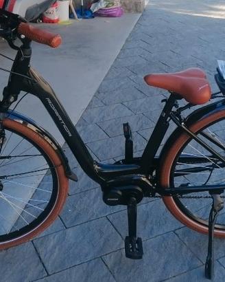 bicicletta elettrica