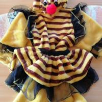 Costume carnevale Ape