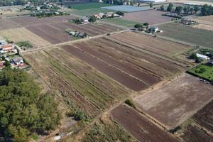 Borgo Faiti (LT) - Terreno agricolo 4 HA | TR429