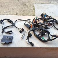 impianto elettrico e centralina gsxr 750