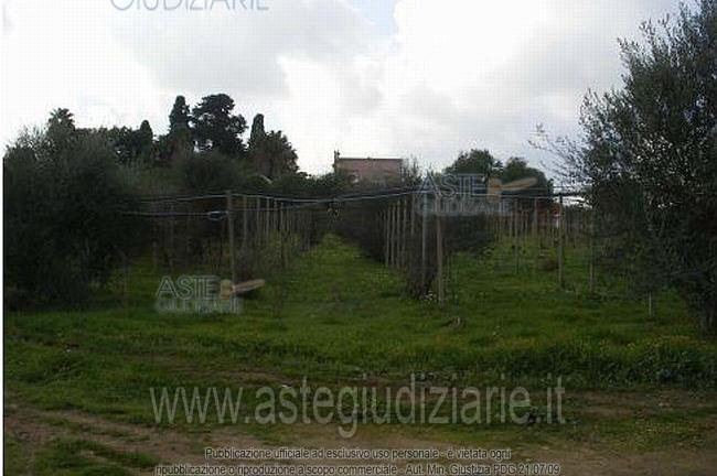 Terreno Agricolo Vittoria [A4302553]