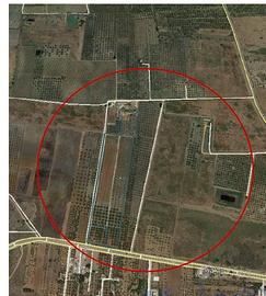 R.G.E. 169/2017 Marsala