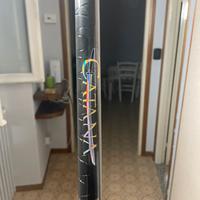 Shimano Catana e Shimano mulinello