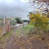TERRENO A POLLENA TROCCHIA