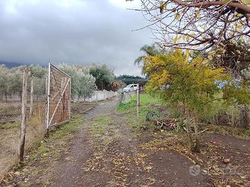 TERRENO A POLLENA TROCCHIA