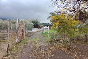 TERRENO A POLLENA TROCCHIA