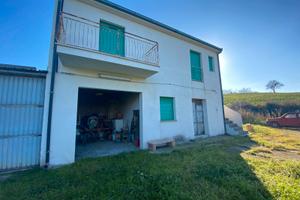 Fabbricato con campagna con Oliveto rif.892