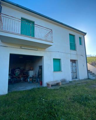 Fabbricato con campagna con Oliveto rif.892