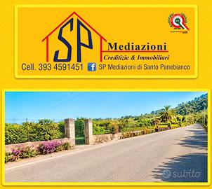 Terreno su strada