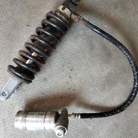 ammortizzatore posteriore RGV gamma 250
