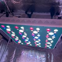 Lampada grow a led Ortoled 700w