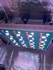 Lampada grow a led Ortoled 700w