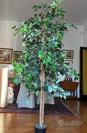 pianta finta ficus benjamin