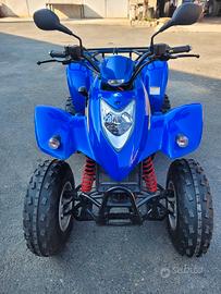 QUAD KYMCO 250