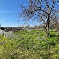 TER. AGRICOLO A RIVALTA DI TORINO