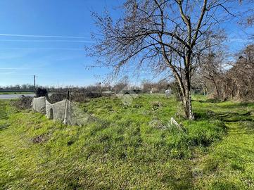 TER. AGRICOLO A RIVALTA DI TORINO