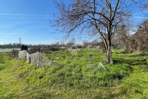 TER. AGRICOLO A RIVALTA DI TORINO