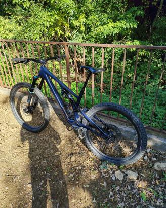 Specialized stumpjumper EVO expert 2024