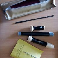 Flauto per scuole medie