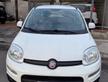 Fiat Panda 1.2 EasyPower Lounge