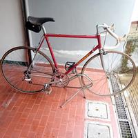 bicicletta  vintage