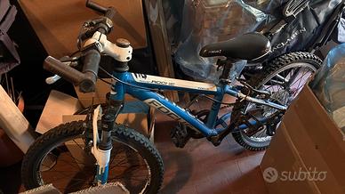 Bici MTB Focus Raven Rookie