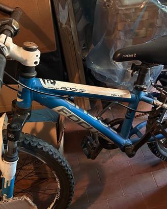 Bici MTB Focus Raven Rookie