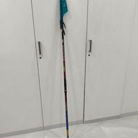 Canna da pesca veret diamond