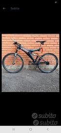 bicicletta in carbonio