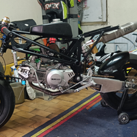 Bucci BR12 3.0