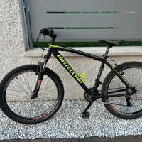 mtb bottecchia 109