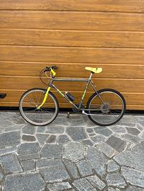 Bici adulto Bottecchia