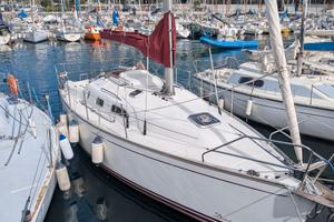 Delphia 29
